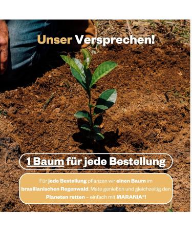 Marania Yerba Mate Tea Bio 1500g - Finest Cut 100% Matebl tter | Best Seller 2020/21/22 | Premium Mattene Mate Tea - Buy Online on GoSupps.com