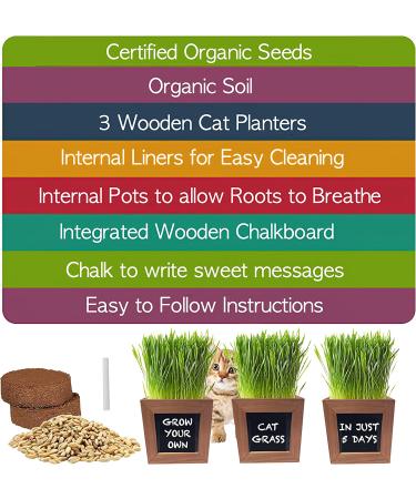 Certified Organic Cat Grass Kit with 3 Wooden Planters - Perfect Gift for Indoor Cats - Buy Online on GoSupps.com