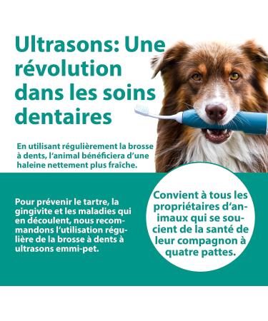 emmi-pet 2xA1 (S) Small Ultrasonic Brush Heads for emmi-pet 1.0&2.0 Ultrasonic Toothbrush I Prevents Tartar Fights Bad Breath and Gingivitis I Quiet & Friction-Free - Buy Online on GoSupps.com