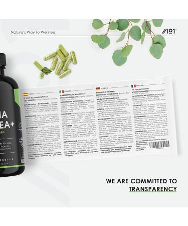 Organic Matcha Green Tea Extract 1360mg with Turmeric, Acerola & Black Pepper - 60 Vegan Capsules - Buy Online on GoSupps.com