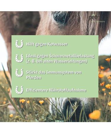 PETPLUS Zeolith Horse Powder 750g and 3kg 100% Organic & Natural No Preservatives Hypoallergenic Detox - Buy Online on GoSupps.com