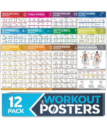 12-PACK Laminated Large Workout Poster Set - Perfect Workout Posters for Home Gym - Exercise Charts Incl. Dumbbell Yoga Poses Resistance Band Kettlebell Stretching & More Fitness Gym Posters