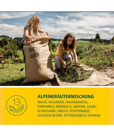 Buy Ricola Alps Sage Candies - 75g Original Swiss Herbal Treats with 13 Alpine Herbs & Sugar-Free | International Shipping Available - Buy Online on GoSupps.com