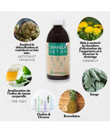 Detox Diuretic Drainer Diet 15-day program Green tea Artichoke Dandelion Sage Pineapple - Bromelain 3 plants - Buy Online on GoSupps.com