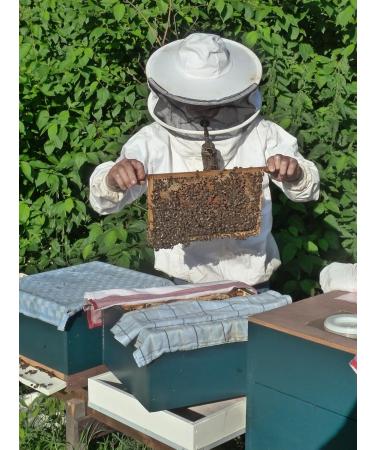 Beekeeping Track Energy Mix with Honey - 1kg Mountain Blossom Honey Propolis Bee Bread & Royal Jelly | Natural Power Booster - Buy Online on GoSupps.com