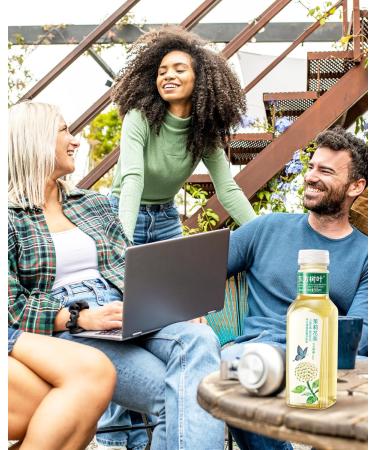 ORIENTAL LEAF Unsweetened Iced Tea Bottled Oolong Tea 500 ml Bottles 15 Pack Bottled Iced Tea Drinks Sugar Free 0 Calories unsweet oolong - Buy Online on GoSupps.com