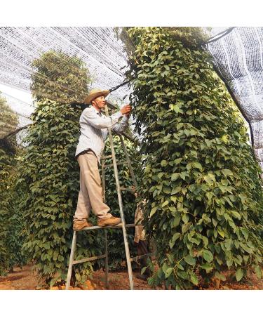 Uncles Pepperfarm Fermentierter Kampot Pfeffer - Ganze Pfefferk rner in Meersalz - Aromaschutzbeutel 50 g | Premium International Shipping - Buy Online on GoSupps.com