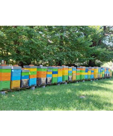 IO APE - Organic Summer Millefiori Honey 500 g - Italian honey from the Como region - Buy Online on GoSupps.com