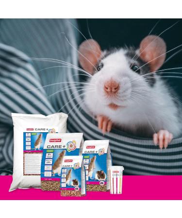 Beaphar Care+ Rat Food for Rodents & Small Mammals - Omega 3 & 6 Green Tea Extract Spirulina Vitamin E - Supports Health & Digestion - 250g Pack - Buy Online on GoSupps.com