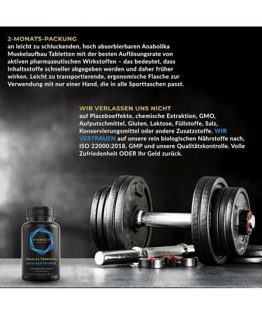 Beta Ecdysterone + Tribulus Terrestris | High Dose Muscle Building Fitness Booster | 60 Daily Doses | 95% Ecdysterone & 92% Saponins - Synergy Nutrition - Buy Online on GoSupps.com