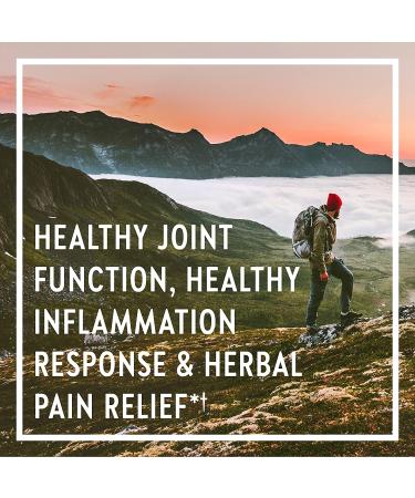 New Chapter Zyflamend 60 Veg Capsules - Natural Inflammation Support - Buy Online on GoSupps.com