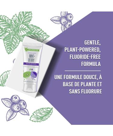 Schmidt's Kids' Fluoride-Free Mint & Berry Toothpaste 4.7 oz - 6 Pack - Buy Online on GoSupps.com