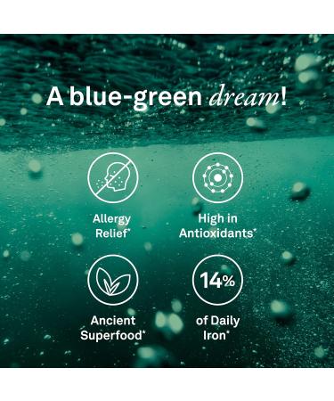 Organika Certified Organic Spirulina Powder- Superfood 3rd Party Tested Pristine Sourcing Vegan- 500g 500 g (Pack of 1) Powder - Buy Online on GoSupps.com