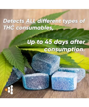 Prime Screen 10 Pack Marijuana Drug Test Kit - The Most Accurate Medically Approved Urine Drug Screening Test - Detecting Any Form of THC Cannabis - WDTH-114 - Buy Online on GoSupps.com