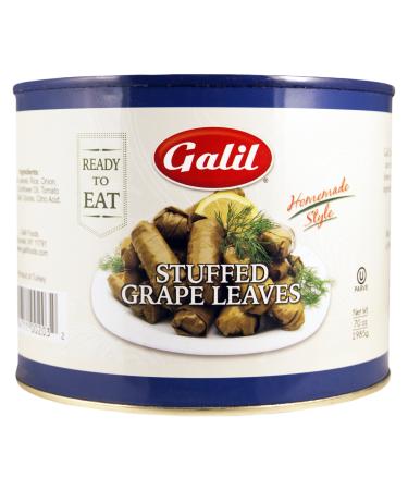 Galil Stuffed Grape Leaves, Large, 70-Ounce Cans (Pack of 2)