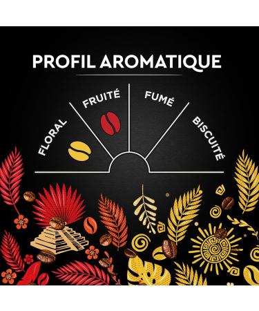 Carte Noire Arabica Grounds Beans 4X500GR MIX - Buy Online on GoSupps.com