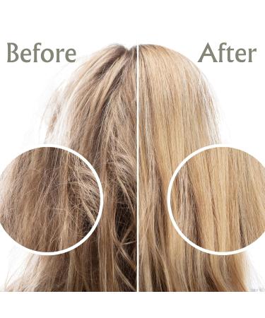 Shampoo & Conditioner Set with Argan & Macadamia Oil - Sulfate Free - Hair Repair for All Hair Types - Anti-Frizz & Split End Treatment - International Shipping Available - Buy Online on GoSupps.com