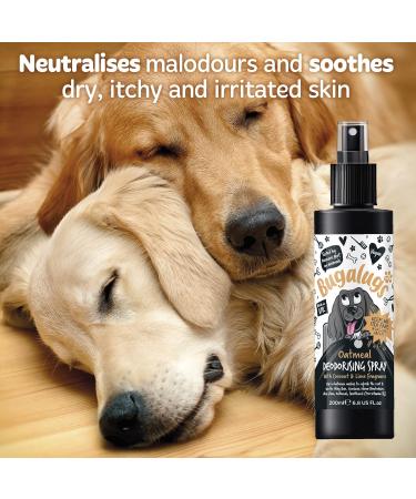 BUGALUGS Oatmeal Dog deodorant deodorising spray with Coconut & Lime scent dog perfume spray with odour neutraliser - vegan dog cologne dog grooming odour eliminator use with oatmeal shampoo Spray 200ml - Buy Online on GoSupps.com