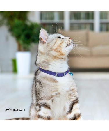 Collardirect Leather Cat Neck Band - Safe Elastic Collar with Bell for Kittens | Adjustable 23-28 cm | Available in Black Blue Red Orange Green Pink & Purple - Buy Online on GoSupps.com