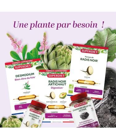SUPERDIET -QUATUOR DIGESTION BIO-Well-being of the liver -Black Radish Artichoke Milk Thistle Rosemary-Made in France-20 Ampoules of 10 ml - Buy Online on GoSupps.com