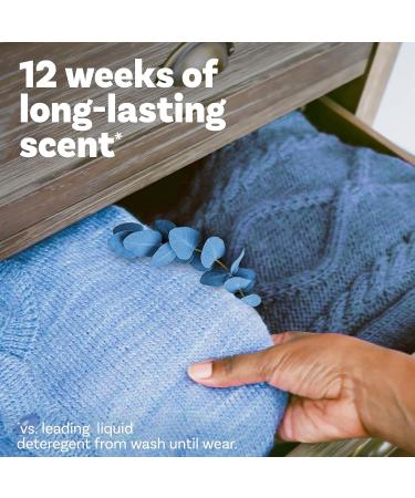 Downy Infusions In-Wash Laundry Scent Booster Beads - BALANCE Crisp Rain & Blue Eucalyptus Scent 30.1 oz - Shop Now for International Shipping - Buy Online on GoSupps.com