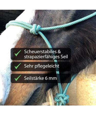 Knothalter f r Bodenarbeit Optimale Knotentrainer f r Warmblut | Strapazierf hige Kn strapped f r F hrung & Beladung - Buy Online on GoSupps.com