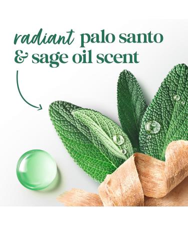 Dove Limited Editon FIFA Body Scrub Palo Santo & Sage Oil For Exfoliated & Hydrated skin 15 OZ - Buy Online on GoSupps.com