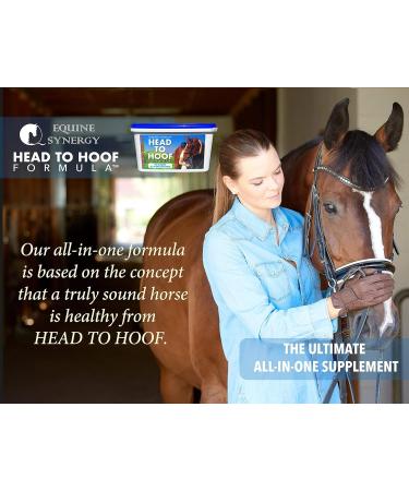 Head To Hoof Formula - Ultra Hoof Repair with Advanced Biotin Levels Healthy Joint Nutrients - Total Equine Condition in One Tub - Buy Online on GoSupps.com