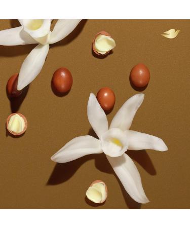 Dove Pampering Care Shea Butter and Warm Vanilla Hand Wash 13.5 oz 4 Count - Cleanser for Clean & Soft Hands - Pack of 4 - Buy Online on GoSupps.com