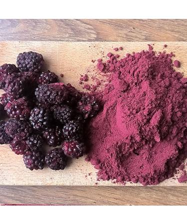 ZINGY ZOO Pure natural blackberry powder without additives | XL 300g Freeze-dried fruit powder for superfood smoothies cocktails pastries cake decorations | Brombeeren pulver fruchtpulver - Buy Online on GoSupps.com