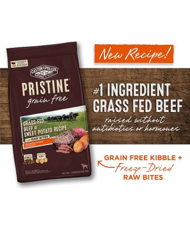 Castor & Pollux Pristine Grain-Free Dry Dog Food - Grass-Fed Beef & Sweet Potato with Raw Bites, 10 lb Bag - Buy Online on GoSupps.com
