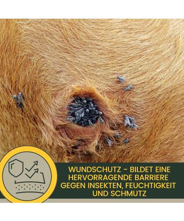 Silver Spray for Animals | Wound Healing & Protection for Dogs Cats & Pets | 100ml Aluminum Wound Disinfectant Spray - Buy Online on GoSupps.com