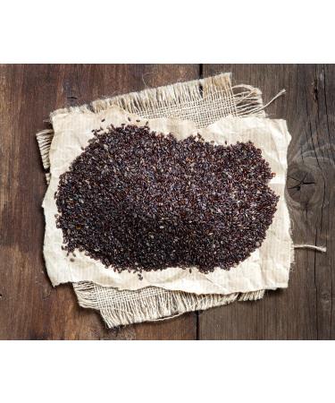 Plantago Psyllium Seeds | Plantago Psyllium L | Psyllium Noir Graine | Health Embassy (200g) - Buy Online on GoSupps.com
