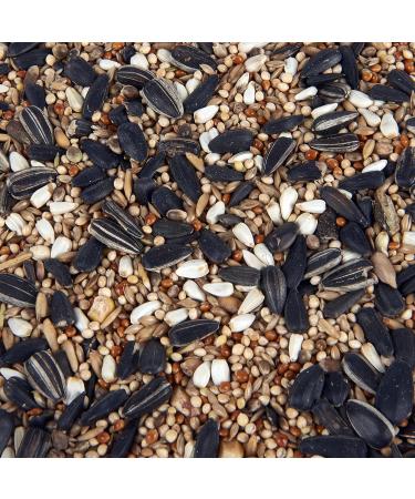 Premium Cockatiel and Parakeet Mixture 600g - Buy Online on GoSupps.com