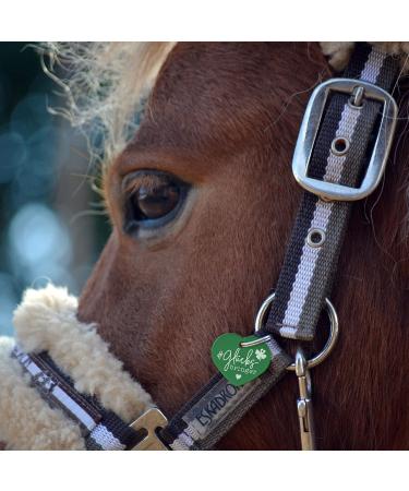 Shop Soulhorse Guardian Angel Saddle & Bridle - Talisman Key Rings for Horses & Pets (Soulmate Blue) - International Shipping Available - Buy Online on GoSupps.com