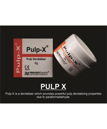 Prevest Denpro Pulp X 6g - Dental Products | Shop Now - Buy Online on GoSupps.com