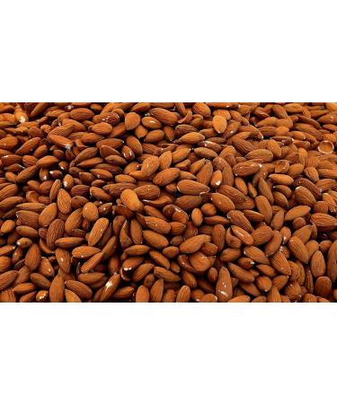 HalalEveryDay Sweet Almond Oil 16 Oz | 100% Pure & Cold Pressed | Premium Therapeutic Moisturizing Carrier Oil | Aromatherapy | Massage Oil | Skin & Hair | Non- GMO & Vegan - Buy Online on GoSupps.com