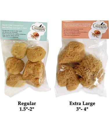 Constantia Pets Hermit Crab Real Sea Sponges - 5 Pack | Nutrient-Rich & Safer Drinking | Maintain Habitat Tank Humidity - Buy Online on GoSupps.com