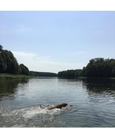 Buy Robust Floating Dog Training Dummy in Red | Durable Retrieval Toy for Dogs - Dogs and More - Buy Online on GoSupps.com