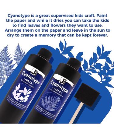 Jacquard Cyanotype Kit for Paper and Fabric - 2 Component Sensitizer Set with Moshify Sponge Brush - Buy Online on GoSupps.com