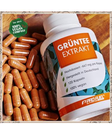 Buy High Dose Green Tea Extract Capsules - 360x 1333mg 600mg EGCG Vegan 98% Polyphenols Made in Germany - 3x120 Capsules - Buy Online on GoSupps.com