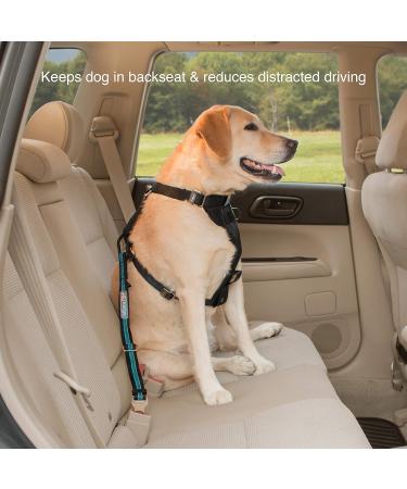 Kurgo K01965 Car Accessories - Blue Carabiner Clip for Seat Belt | Single Pack | International Shipping Available - Buy Online on GoSupps.com