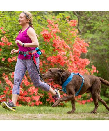 KURGO Plassen - Adjustable Dog Harness with Water Bottle & Bag - Red/Gray 1 Pack - Perfect for Free Heights! - Buy Online on GoSupps.com