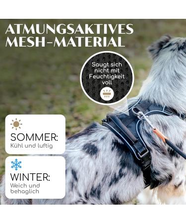 Freudenier Dog Harness - Breathable Comfortable & Durable | Perfect for All Dog Sizes (Black Small) - International Shipping Available - Buy Online on GoSupps.com