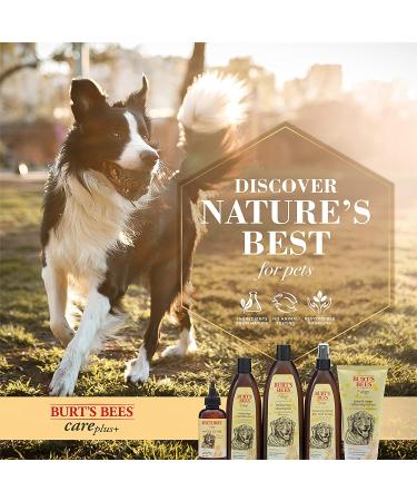 Burt's Bees Care Plus+ Relieving Dog Shampoo with Chamomile & Rosemary - 16 fl oz - Buy Online on GoSupps.com