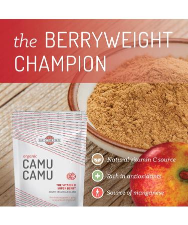 Organic Camu Camu Powder - Earthtone Foods 8 oz (226g) | Superfood Boost - Buy Online on GoSupps.com