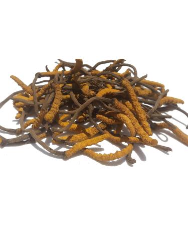 Wild Cordyceps Whole Himalayan Mushroom | Genuine High Grade | Boost Energy, Reduce Stress | 3g for Men & Women - Buy Online on GoSupps.com
