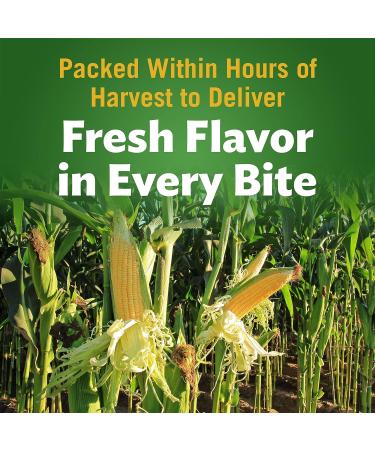 Del Monte Canned Fresh Cut Blue Lake French Style Green Beans Cream - Buy Online on GoSupps.com