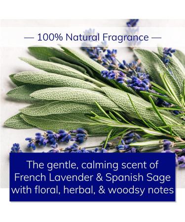 Natural Body Wash | Sulfate-Free Shower Gel | Hydrate & Soften Skin | Handcrafted French Lavender & Spanish Sage | Gentle for All Skin Types - Buy Online on GoSupps.com