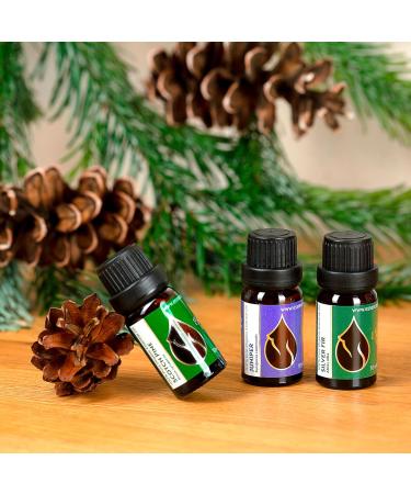 Forest Magic Organic Essential Oils Set - Scotch Pine, Juniper, Silver Fir | 100% Pure & Natural, Therapeutic Grade | Family-Owned Farm | Non-GMO | 3 x 10 ml - Buy Online on GoSupps.com